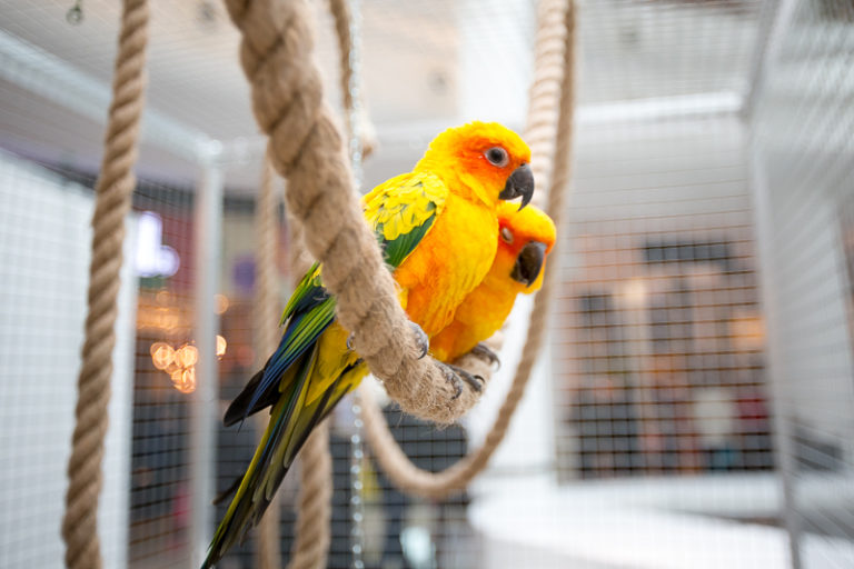 S40A3482-768x512 svg+xml;charset=utf