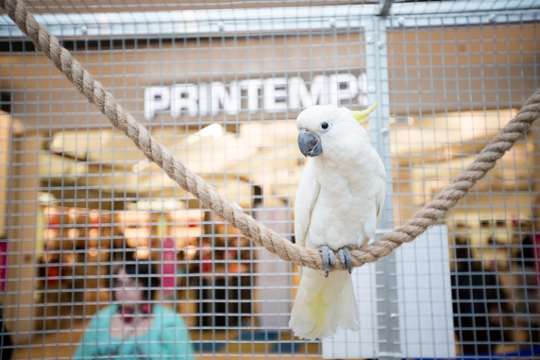 S40A3503-768x512 svg+xml;charset=utf