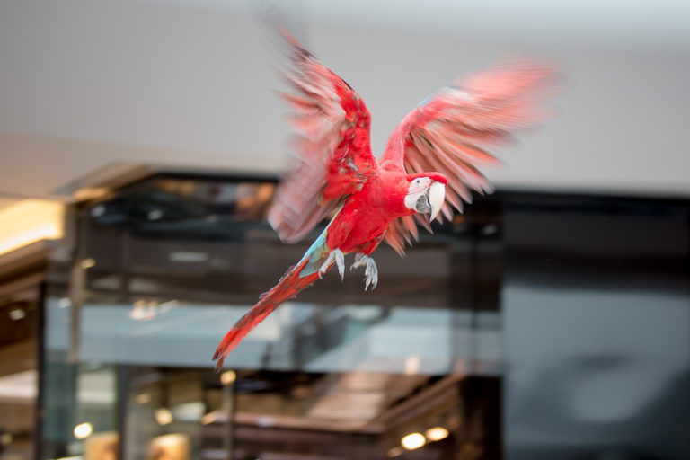 S40A3653-768x512 svg+xml;charset=utf