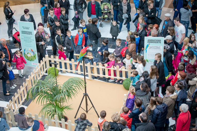 S40A3663-768x512 svg+xml;charset=utf