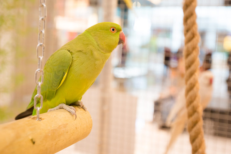 S40A3711-768x512 svg+xml;charset=utf