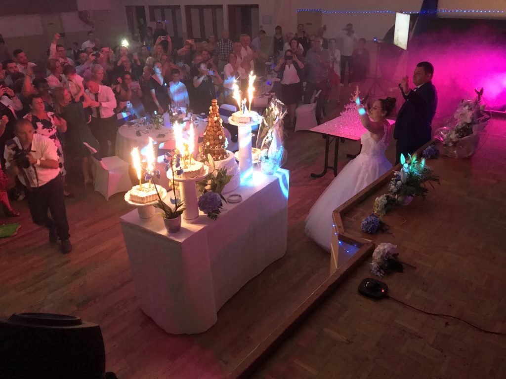 déco salle rose Plein Vol 5 svg+xml;charset=utf