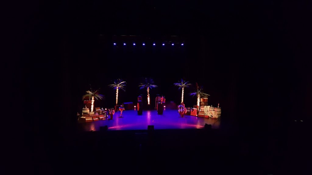 spectacle noel adulte et enfant pirate (2) svg+xml;charset=utf