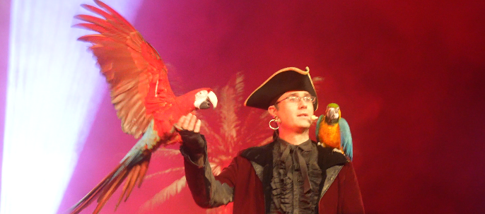 Spectacle Pirate Perroquet - Plein Vol 1 svg+xml;charset=utf