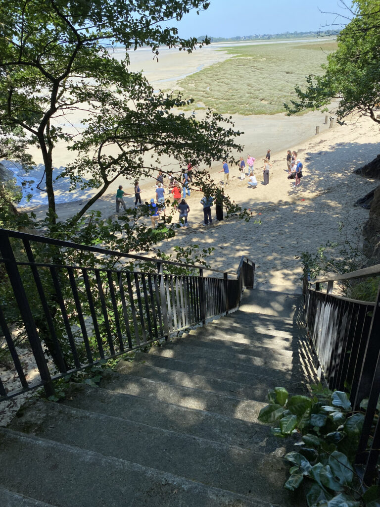 Challenge Corsaire Malice Academy Plein Vol 2 svg+xml;charset=utf