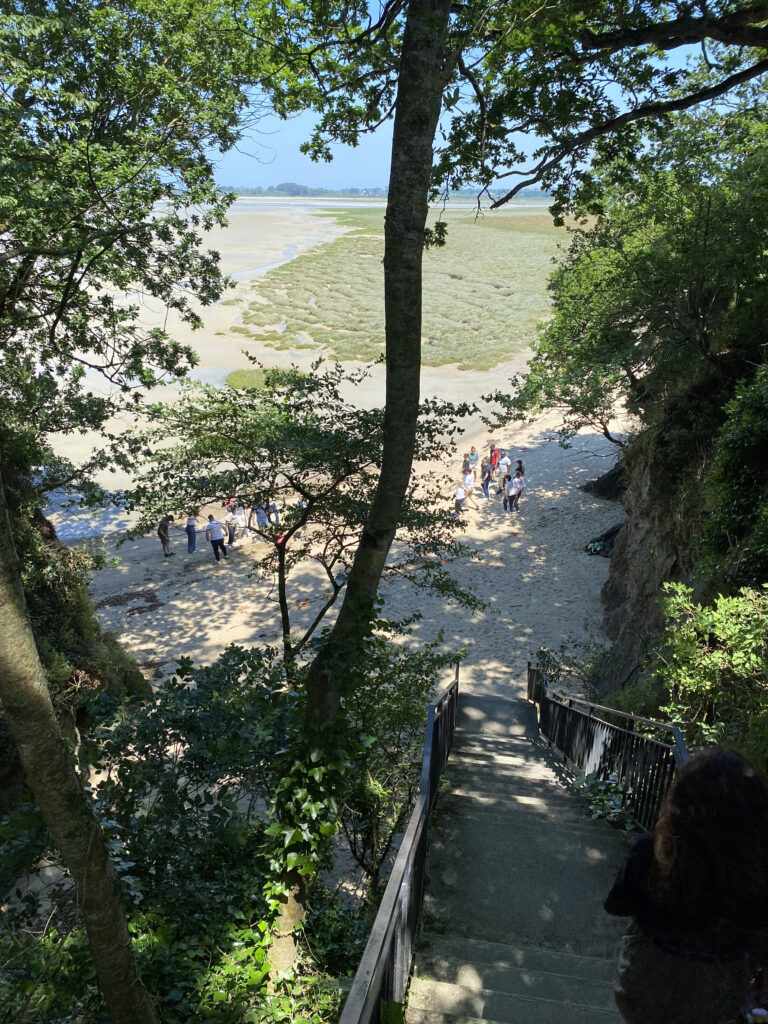 Challenge Corsaire Malice Academy Plein Vol 33 svg+xml;charset=utf